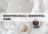 西安软件开发公司2022（西安软件开发公司招聘）