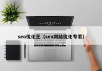 seo优化王（seo网站优化专家）