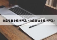 北京专业小程序开发（北京微信小程序开发）